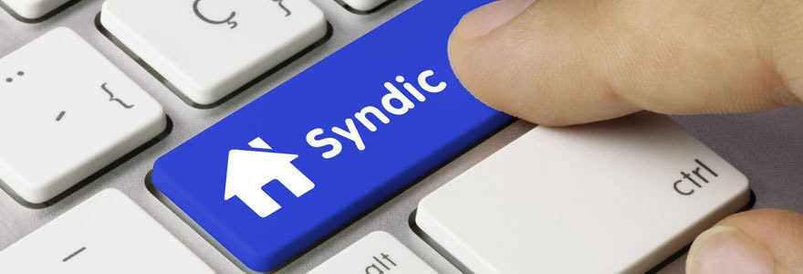 syndic